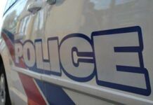 加拿大警方意外查獲150磅非法大麻，4華裔被拘！