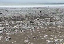 峇里島著名的庫塔海灘被塑料垃圾淹沒