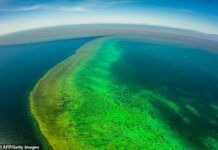 珊瑚礁要遭殃了！澳大利亞批准100萬噸污泥傾倒「大堡礁」計畫