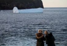加拿大奇賊偷冰山