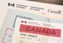 惠及50萬留學生！加拿大畢業生工簽新規：申請期限延長至180天！