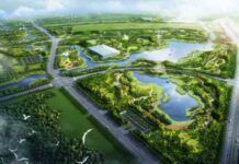 北京朝陽將建萬畝森林公園 黑橋公園今夏開園