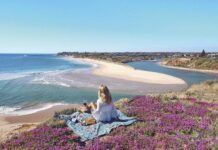 澳大利亞五大致命水生物，哪裡的海灘更安全？