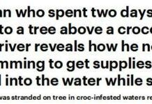 現實版黑水！澳洲漁夫與朋友被困樹上兩天，樹下鱷魚徘徊