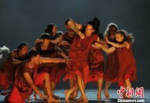 中新合作現代舞劇《源·移》在新西蘭五地巡演獲好評