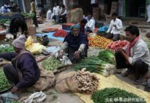 直擊真實的印度鄉村菜市場：肉食或許只能買到魚，仍使用天平秤！