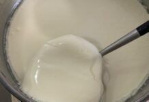 酸奶自製的做法