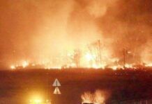 韓國山火受災嚴重，與鼻咽癌斗爭的金宇彬捐款1千萬，願早日康復
