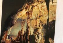 金德明拍攝的溶洞景觀圖片。周燕玲 攝