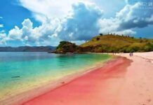 世界上最漂亮的八個沙灘，夏威夷和馬爾代夫和它們比起來平淡無奇