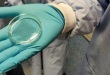 科學家開發出導電聚合物貼片 旨在幫助修復受損的心髒