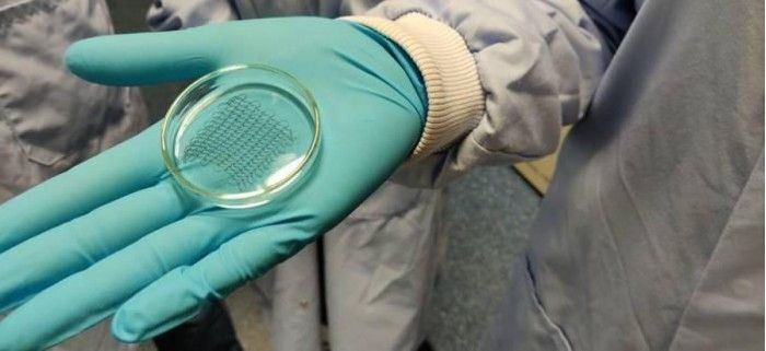 科學家開發出導電聚合物貼片 旨在幫助修復受損的心髒
