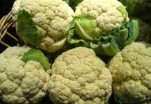 研究稱在花菜等蔬菜中發現的化合物可能有助於治療常見的肝病