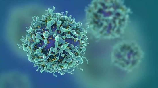 聚焦新冠肺炎：認識抗體的利與弊 清除病毒依靠T細胞