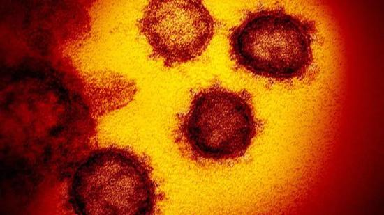 從SARS到新冠病毒：冠狀病毒的研究改變了多少？