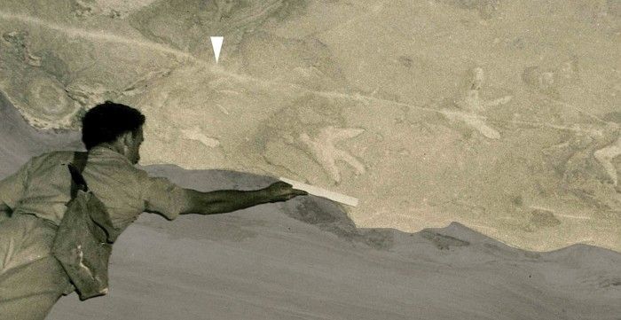 科學家發現洞穴頂部恐龍足跡的新線索 數十年懸案或揭開