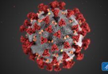 新冠病毒主要通過3種方式傳播 而美CDC最擔心是飛沫傳播
