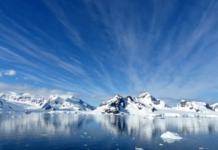 科學家監測到南極洲有記錄以來的最高氣溫
