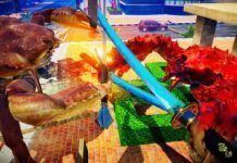 魔性格鬥游戲《螃蟹大戰》預告 螃蟹手持激光劍打架