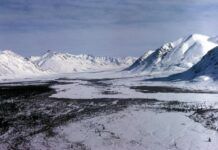 科學家稱北極永久凍土融化可能會釋放出致命的古代病毒