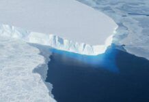 南極裂縫將可能導致不穩定冰架崩潰並帶來可怕後果
