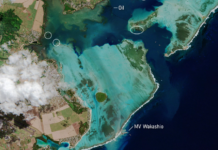 [圖]衛星圖像顯示毛里求斯的破壞性漏油事件狀況依然在惡化