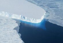 南極「末日冰川」現800米高空洞：坍塌或致海平面上升65厘米