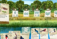 鳥類策略卡牌游戲《展翅翱翔》9月17日登陸PC 支持中文