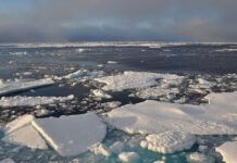 新研究得出結論：北極地區正進入「新氣候」狀態