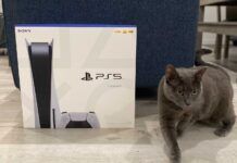 城會玩IGN發布PS5包裝盒與貓咪、香蕉、PSP對比圖