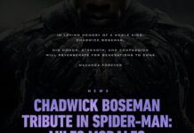 《漫威蜘蛛俠：邁爾斯》中還悼念了黑豹演員和斯坦李