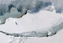 研究稱巨大的冰山可能威脅海豹、企鵝等野生動物的棲息地