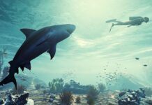 《食人鯊》繁中版登陸PS4與PS5 預購特典碼公布