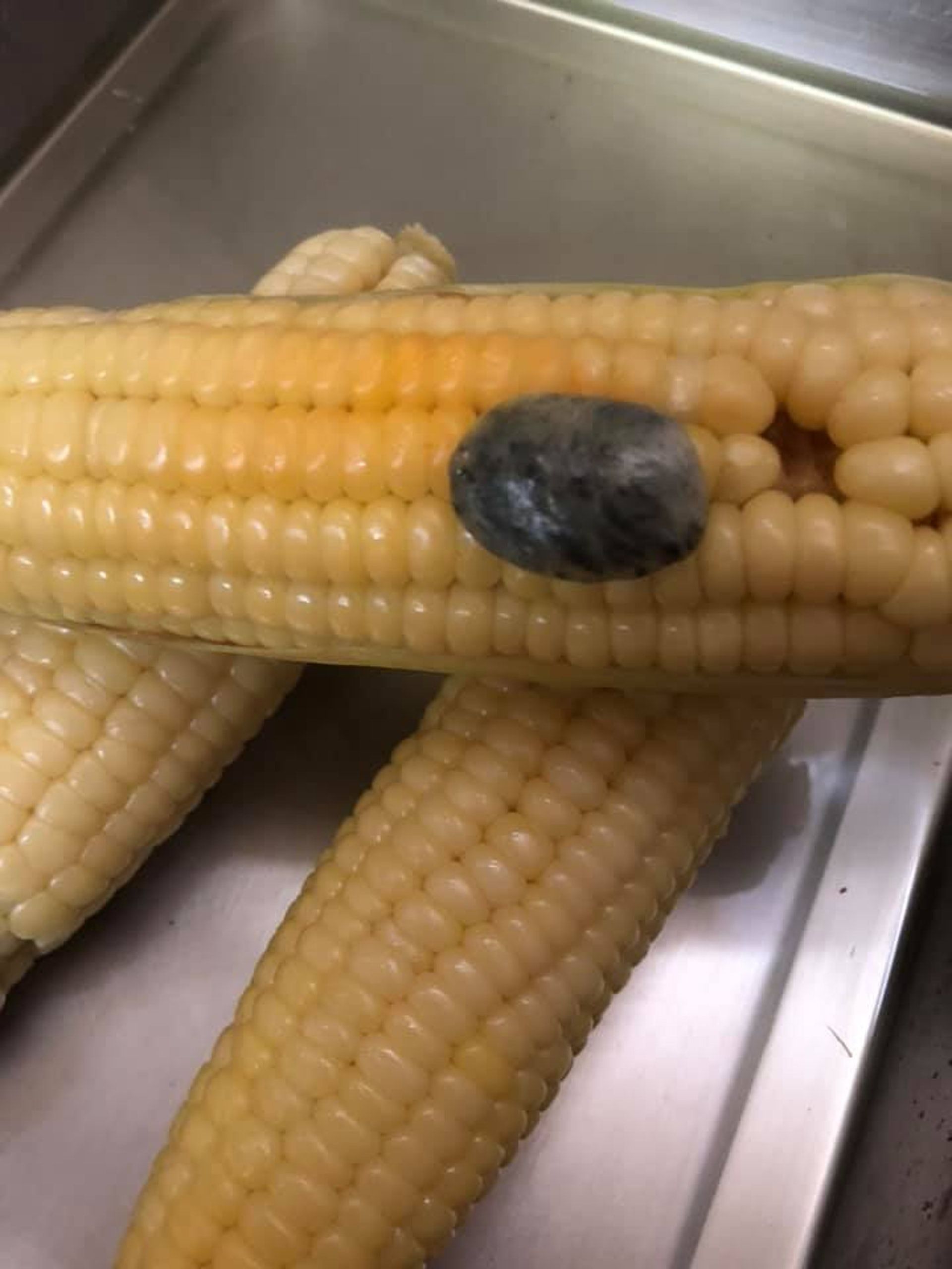 玉米上有「黑色瘤狀物」他嚇到不敢吃　網友揭密：很珍貴！