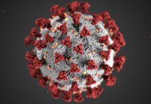 芬蘭發現一種新型變異新冠病毒 核酸檢測恐難檢出