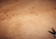 NASA毅力號成功着陸火星 它會在哪里尋找火星生命？