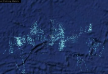 科學家用新技術追蹤公海上的神秘船隻