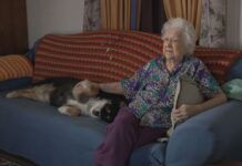 美國老人去世後將遺產留給愛犬：價值500萬美元
