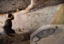 澳大利亞發現1.73萬年前的古老岩畫 主角是一隻袋鼠