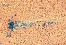 宇航員拍攝到久巴現代綠洲：昔日存在於沙丘之中的湖泊