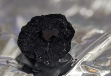 科學家在英國車道發現「驚人罕見」的火球隕石