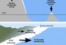 海洋化學變化揭示了海平面如何影響全球碳循環