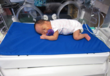 科學家開發Calmer嬰兒床 可用於防止早產兒的腦損傷