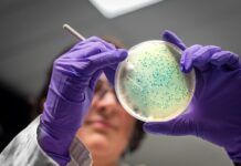 科學家重新編程細菌 以製造用於藥物的設計分子