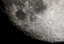 「月球方舟」擬儲存六百七十萬個物種DNA