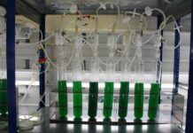 微生物學家通過細菌修改製造出氣候中立且能快速降解的生物塑料
