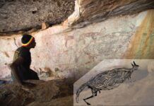 澳大利亞已知最古老的岩畫：一隻2米長的袋鼠 距今已有17000多年的歷史