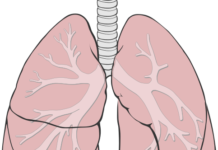 你的肺里有真菌