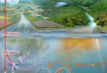 科學家開發出能可靠測量河流或湖泊是否已耗盡空氣的新技術