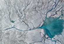 一條冰川河對格陵蘭冰原和全球海平面上升的啟示
